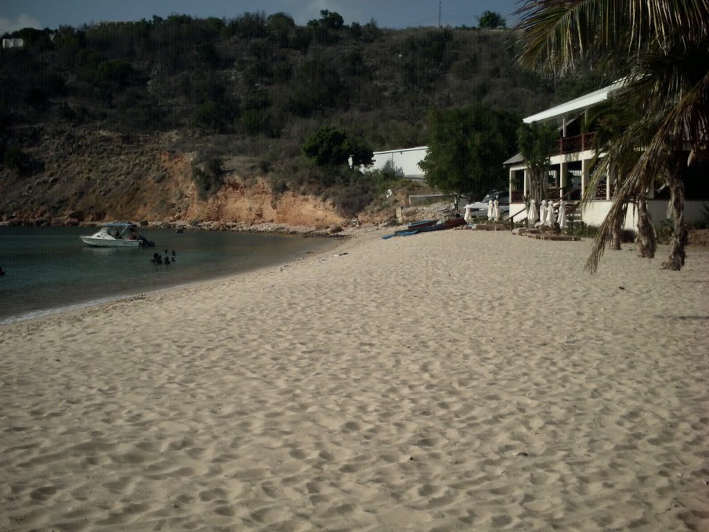 Crocus Beach by gstanzione