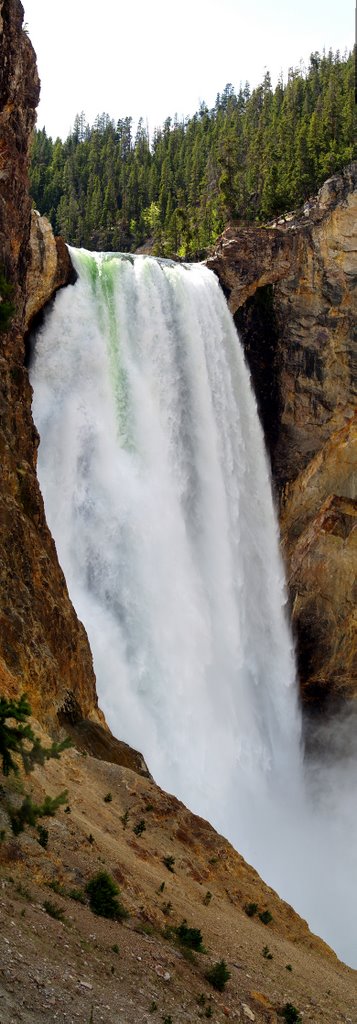 Lower Falls Yellowstone National Park by dallas1959