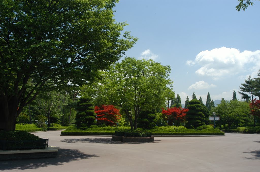 Spring Scenery of Ever Land-2 by Yun wonchin