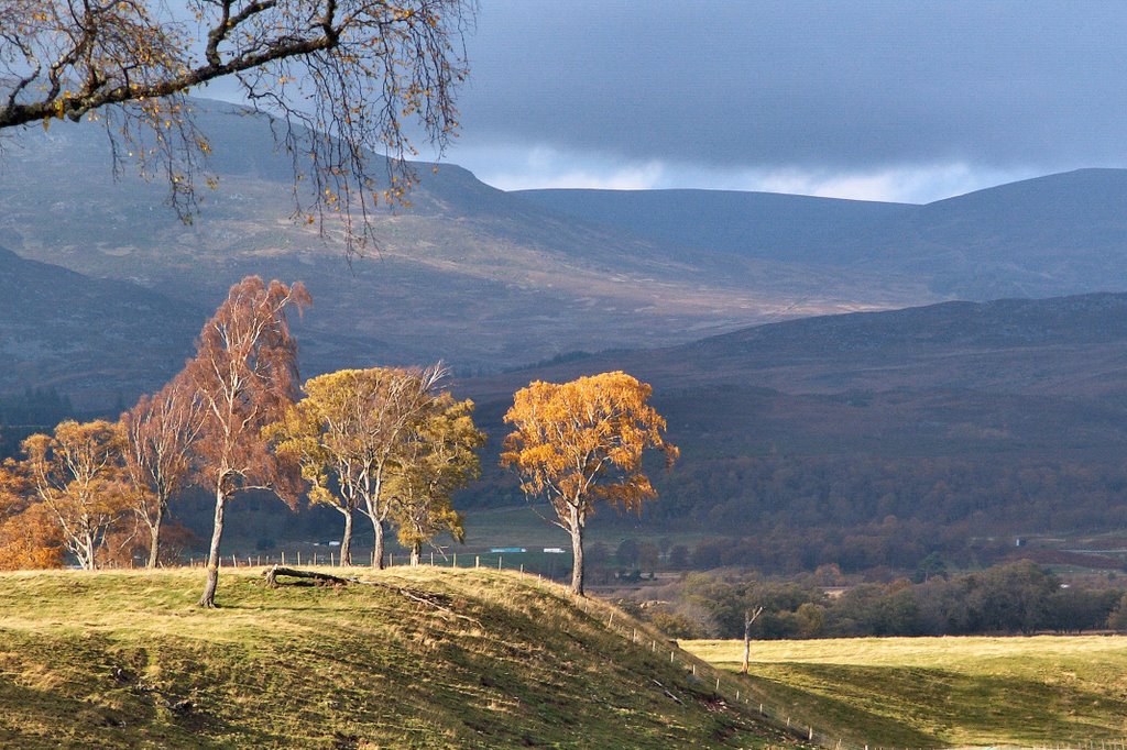 Autumn colours near Loch Insh by Adrian Allain