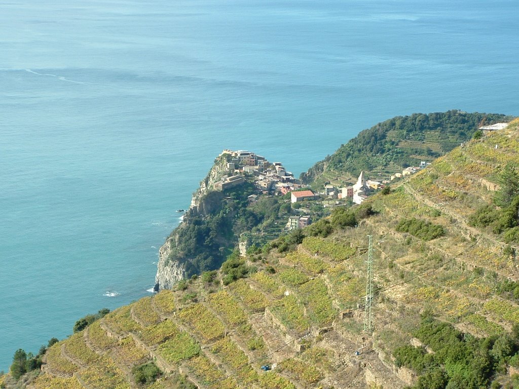 5 Terre - Manarola by mamussi