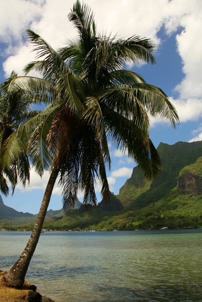 Baie de Cook, Moorea, Archipel de la Société, Polynésie française, France by Hans Sterkendries