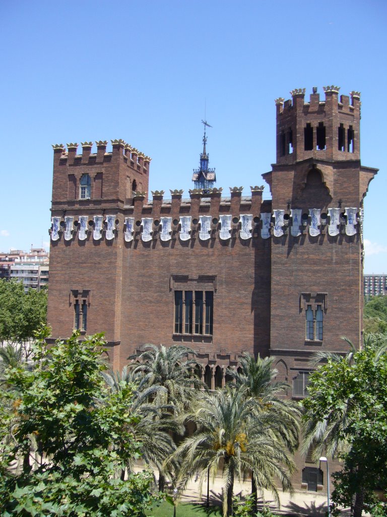 Museo de zoologia by mercedes.bcn