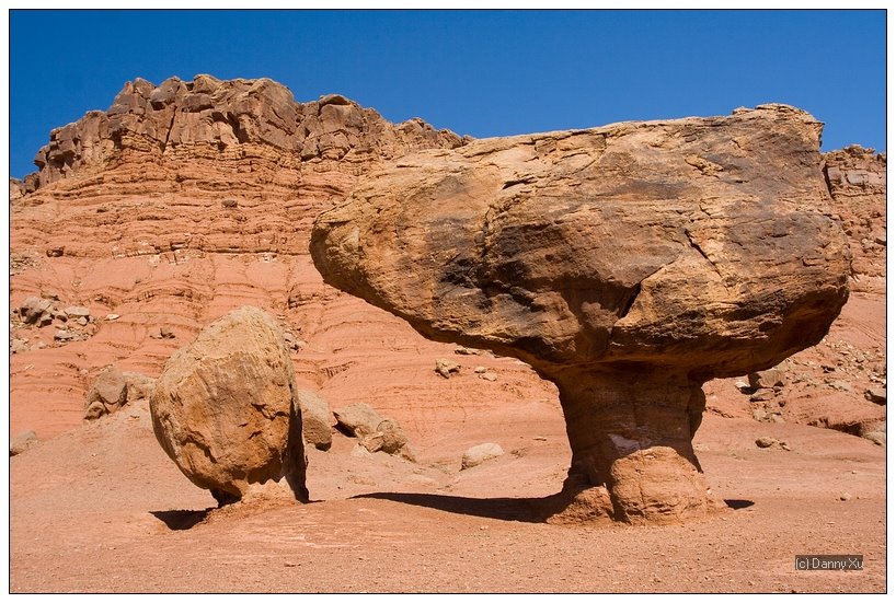 Red Rocks in Glen Canyon by Danny Xu