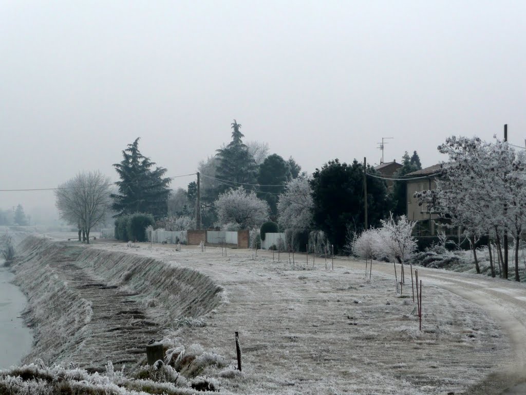 Galiverna in via Schiavoni (Ferrara) by Mascandrian