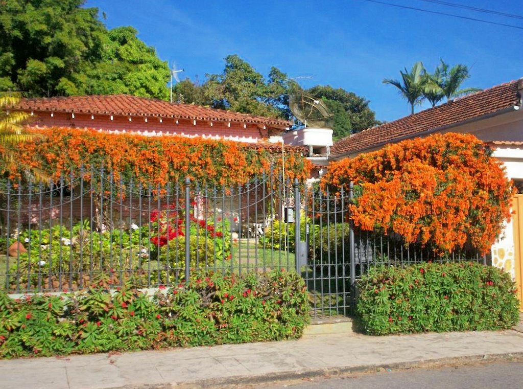 .. flowered house (cipó são joão) .. by André Saliya - Ritápolis