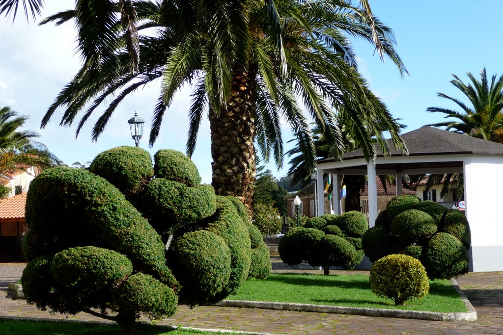 Topiary in Santo Da Serra by Irena B.