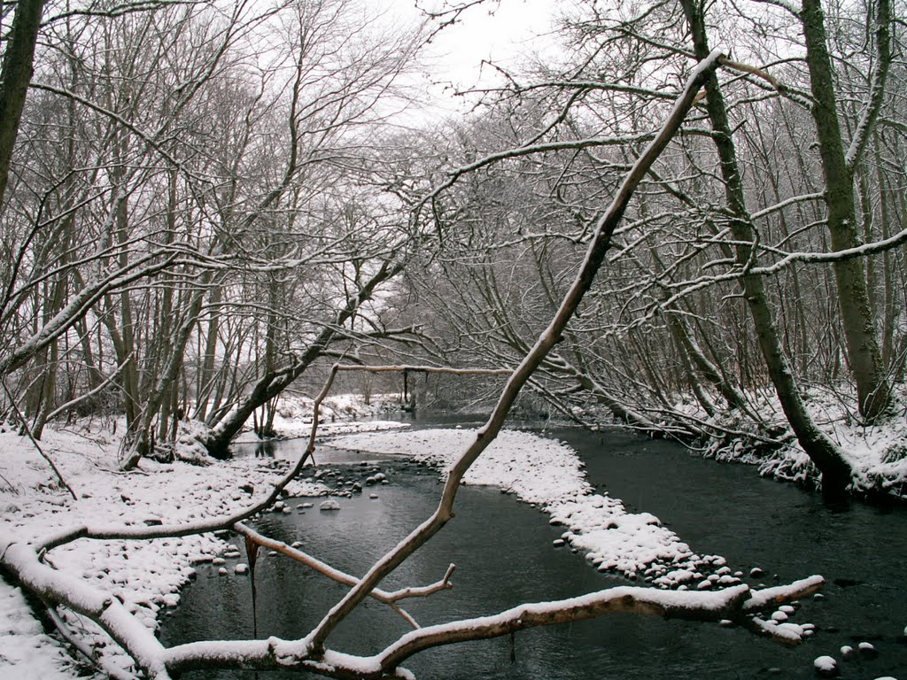 Winter at Kildary river by Ross McEwan