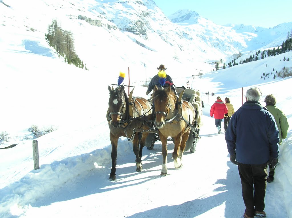 Horse drawn Sledge in brilliant Sunshine by swbauerepfl