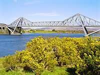 Tn_tn_connel_bridge_gorse by Steve Eccles