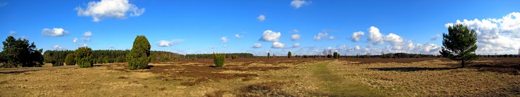 Am Faßberg 1., März 2010 by H.Sandvoß