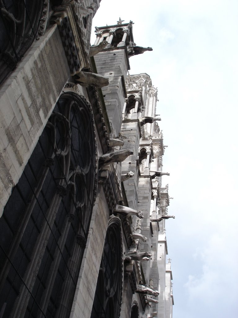 Gargulas de Notre Dame by Valter Auster