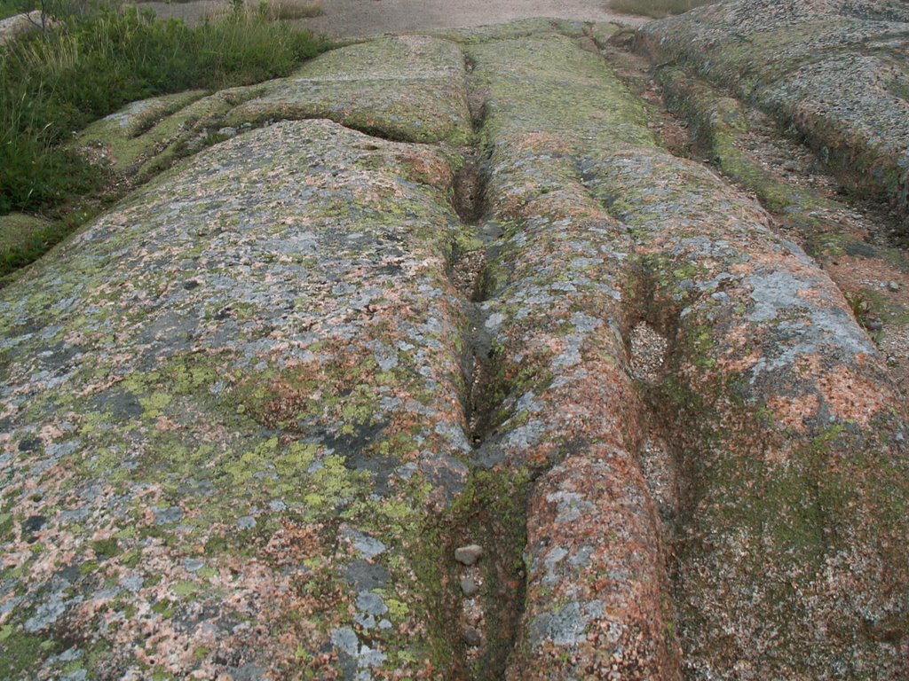 Cadilac Mountain Rocks by Dana Jensen