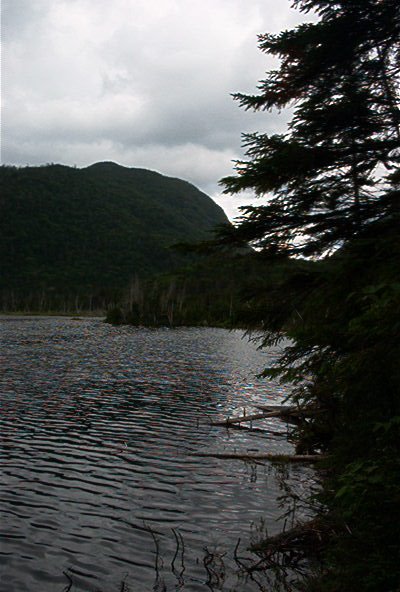 Lake Colden by Chris Sanfino