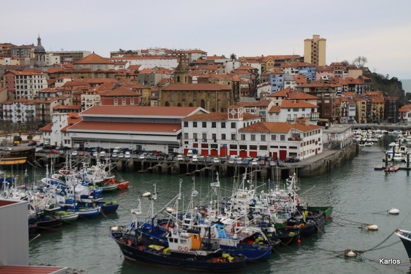 Puerto de Bermeo ( Bizkaia ) by Carlos Ramos De  Los Mozos