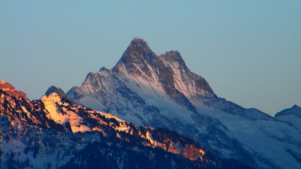 Inserare la Schreckhorn..in der Abendsonn by teodor cardei 1