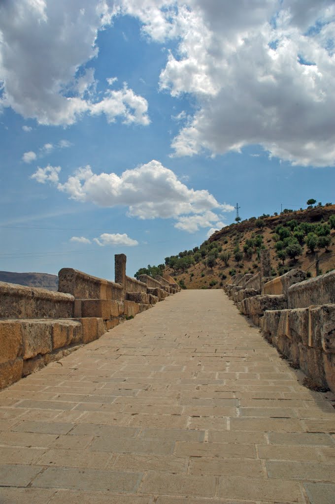 Cendere Bridge (Severan Bridge), Mount Nemrut National Park, Kahta, Adiyaman by Seref Halicioglu