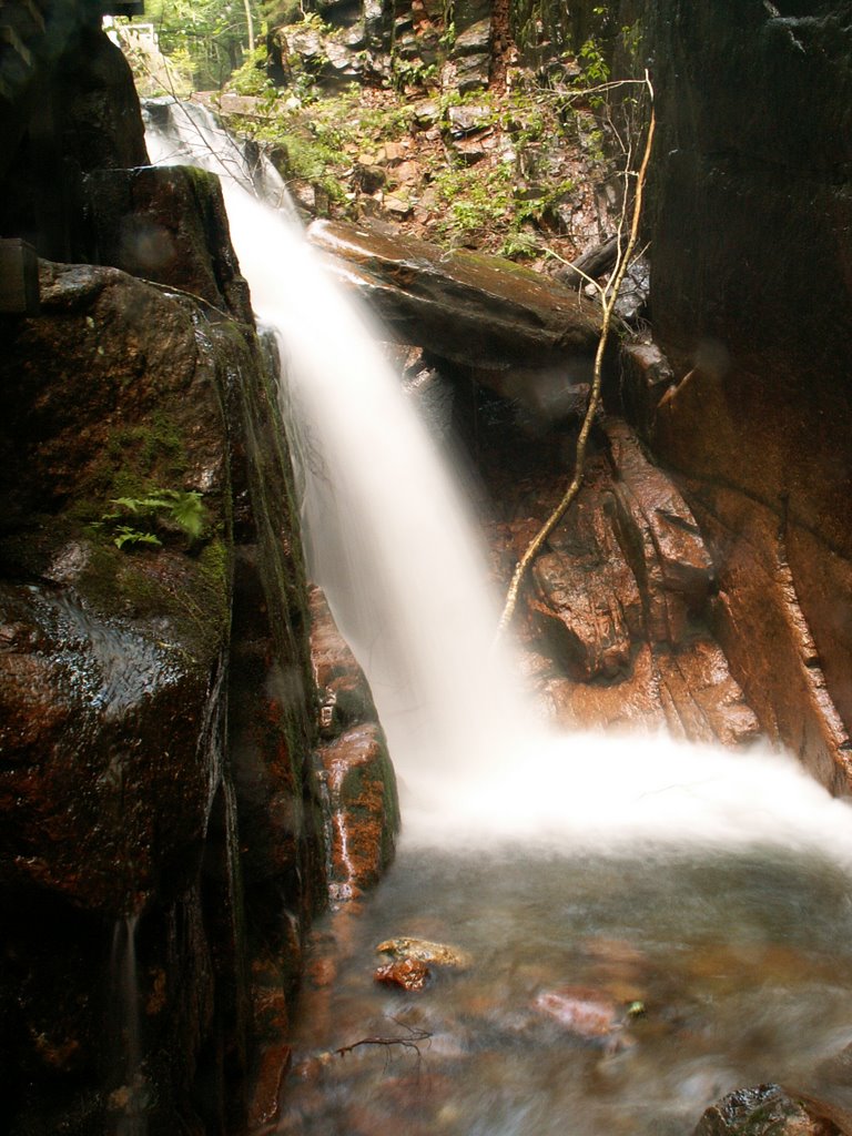 Flume Lower Waterfall by Dana Jensen