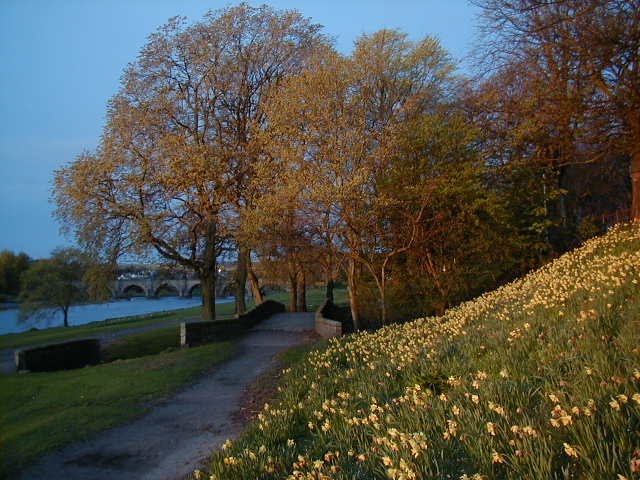 Bridge of Dee Spring. by Ray Patterson