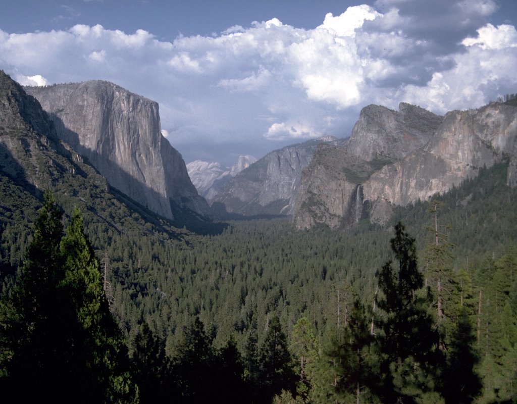 Yosemite Valley by wildernice