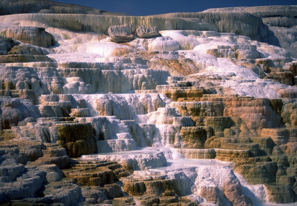 Mammoth Hot Springs by wildernice