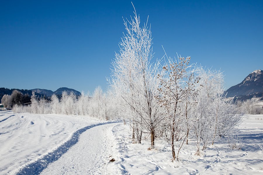 Ellmau am Wilden Kaiser im Winter by Franz Haberhauer