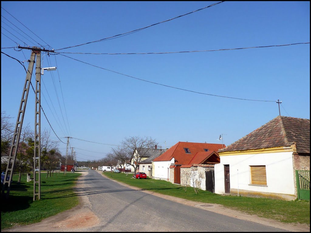 Fenyőfő főutcáján by Reni & Krisz