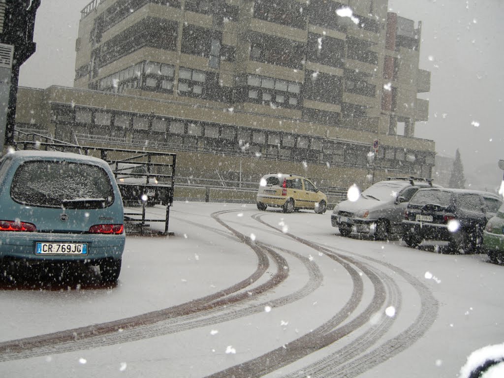 Neve a Roma by Rosario Miraldi