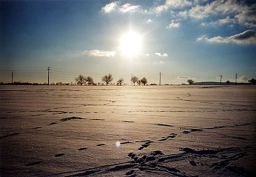 Feld bei Bad Soden im Schnee by Kine80