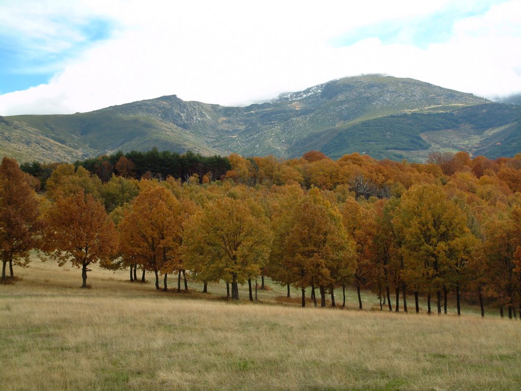 Robledal_y_Sierra_de_Béjar by Fabiola White