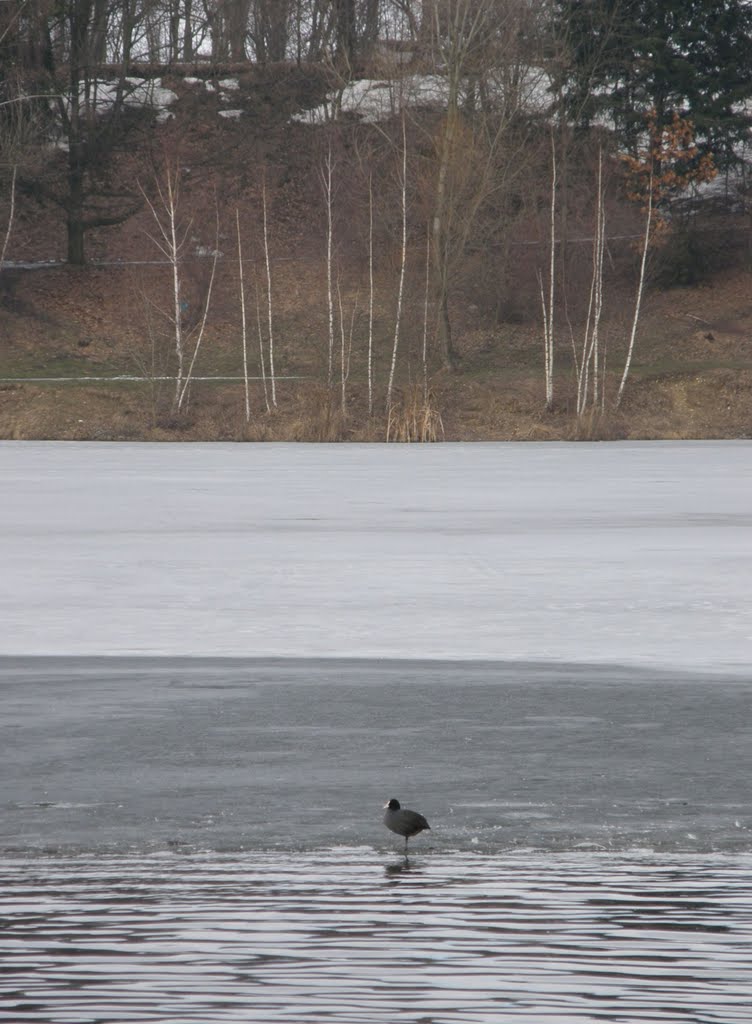 Tání, 7 (Thaw) - pohled na jezero, 3 (view of the lake) by MAPP HUDRANS