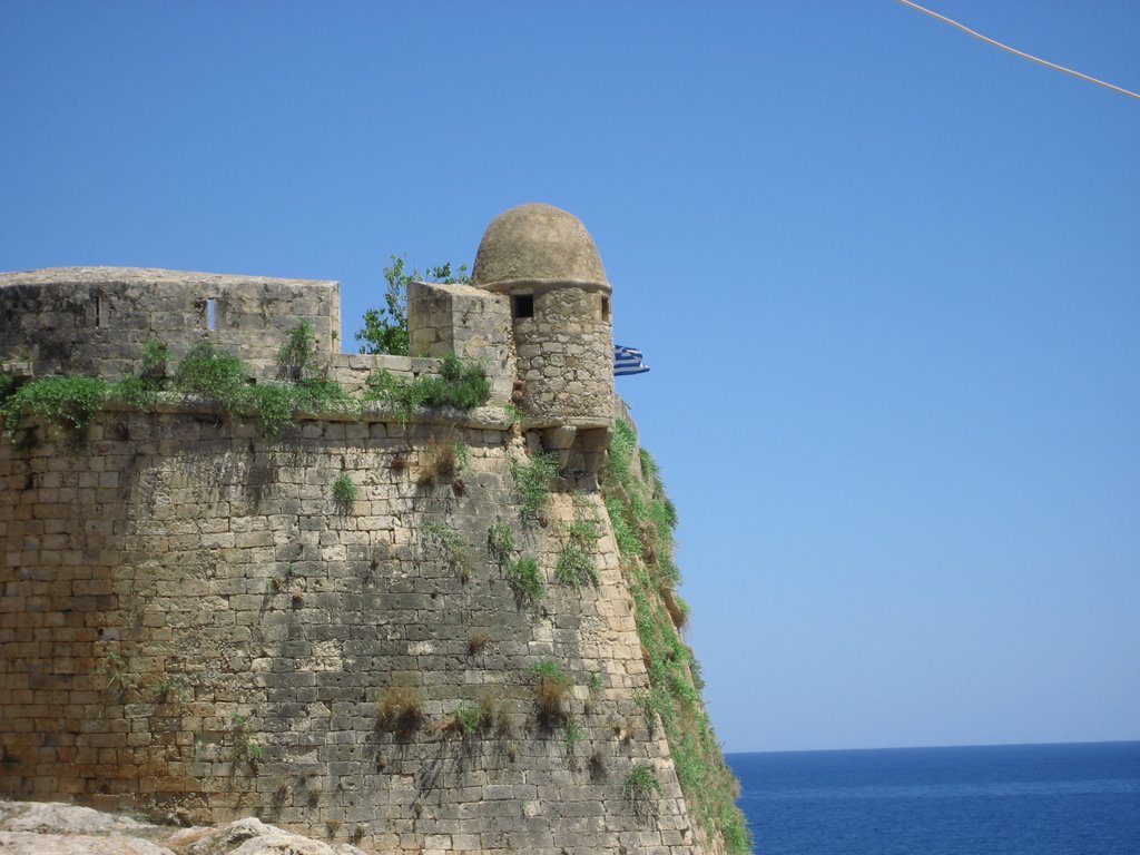 Plants growing out of the fort by Jelmerr