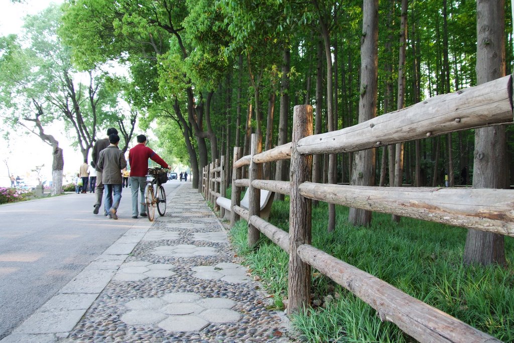 Gulou, Nanjing, Jiangsu, China by 糖