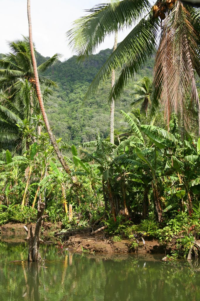 Faaroa, Raiatea, Archipel de la Société, Polynésie française, France by Hans Sterkendries