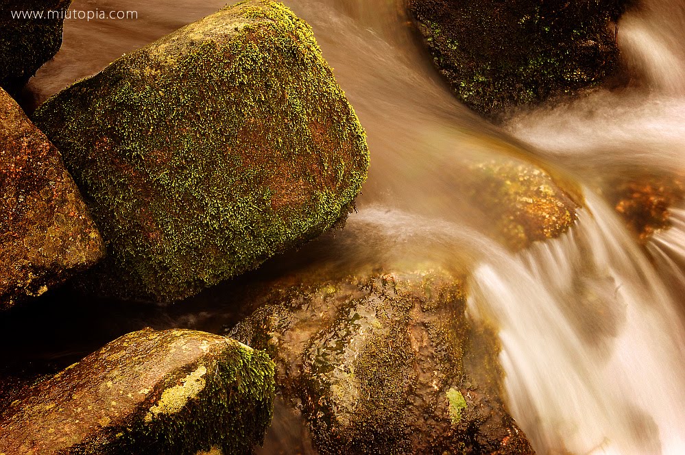 Pormenor rio Fraga de Tondela by Oscar Sánchez Requena