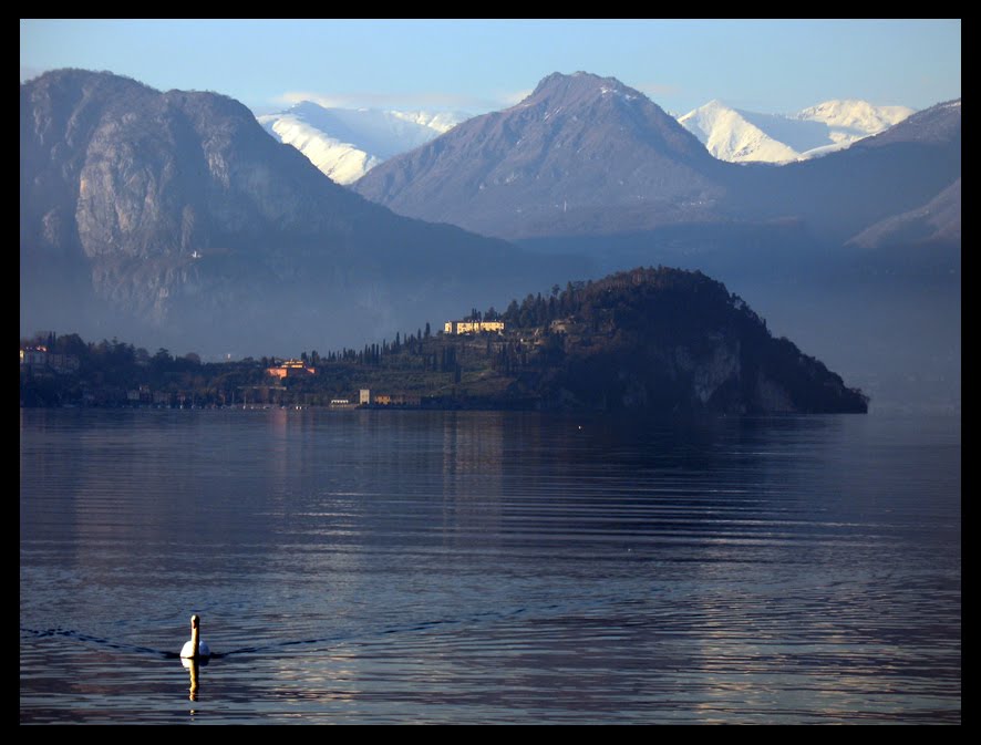 La punta di Bellagio by Silvia Baioni