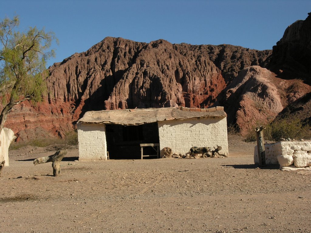 CAFAYATE by Wood Chipper