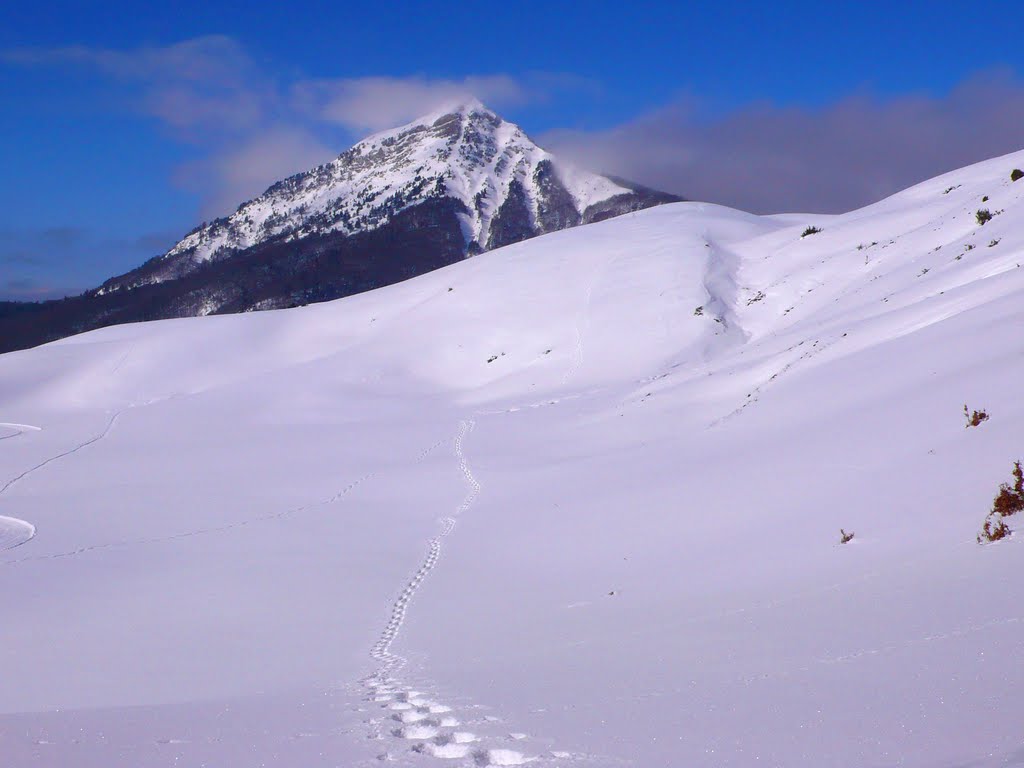 Raquetas de nieve en Linza by PedroRoncalés