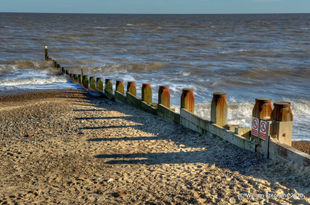 Stalwarts stand against the sea by William Stephens