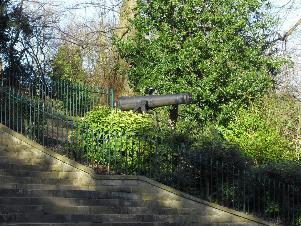 Cannon, Avenham Park, Preston by Ryan Dawson