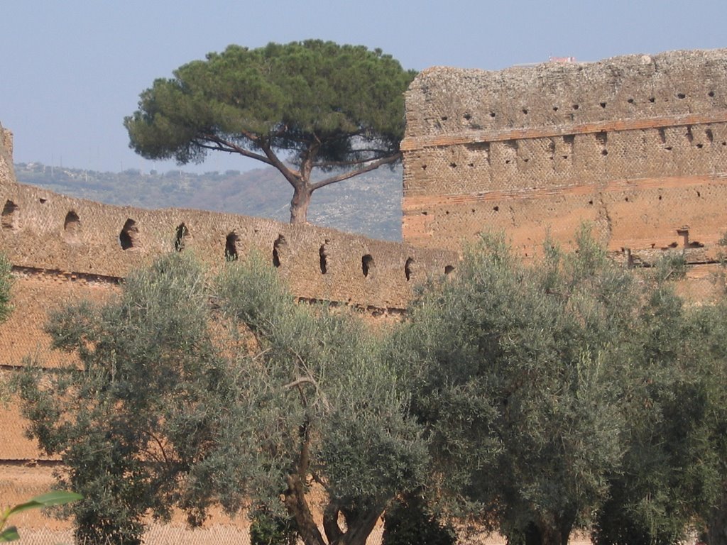 Villa Adriana in Marzo by Armagnac