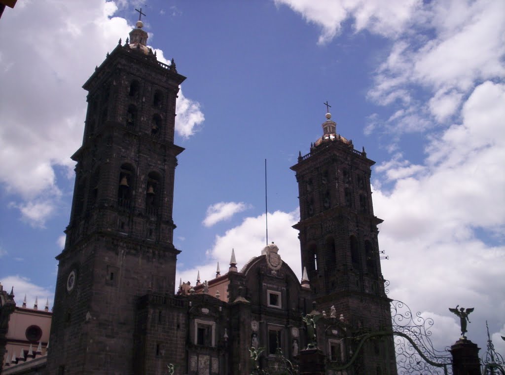 Catedral by Carlos Cruz C