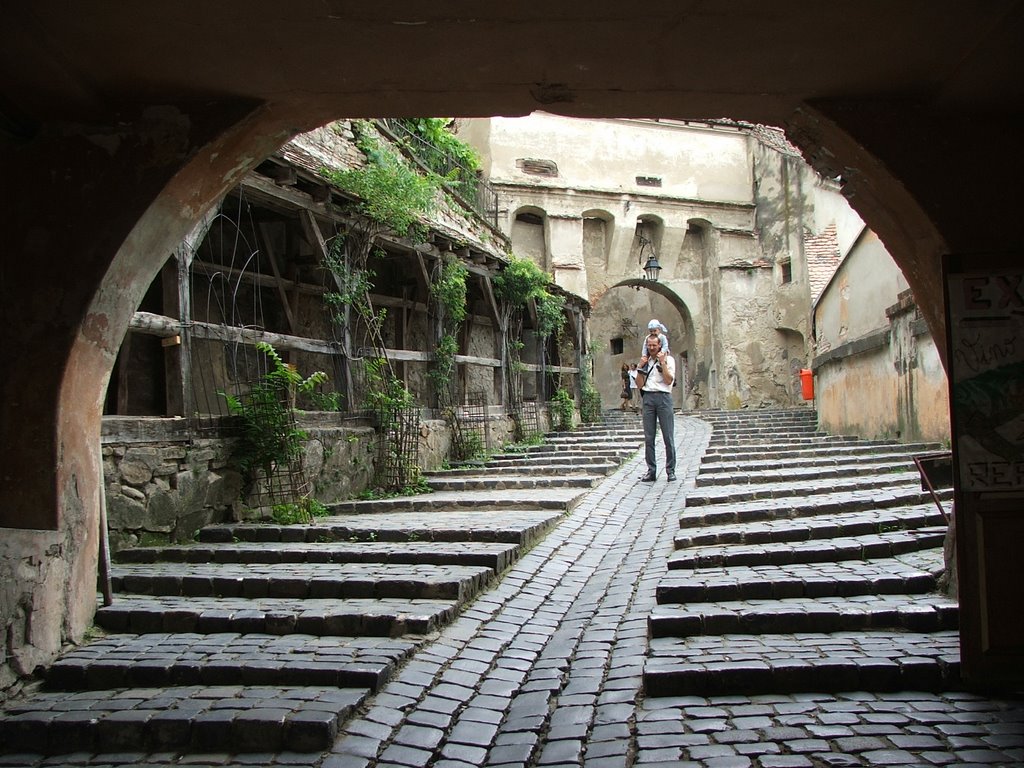 Segesvar / Sighisoara by Trante Cezar