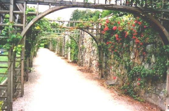 A TRELLIS WALK WAY by CLIVE BAILEY