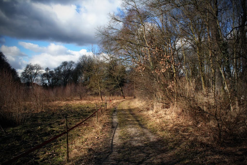 Auenlandschaft in Burgkemnitz, März 2010 by Uwe Rieschel