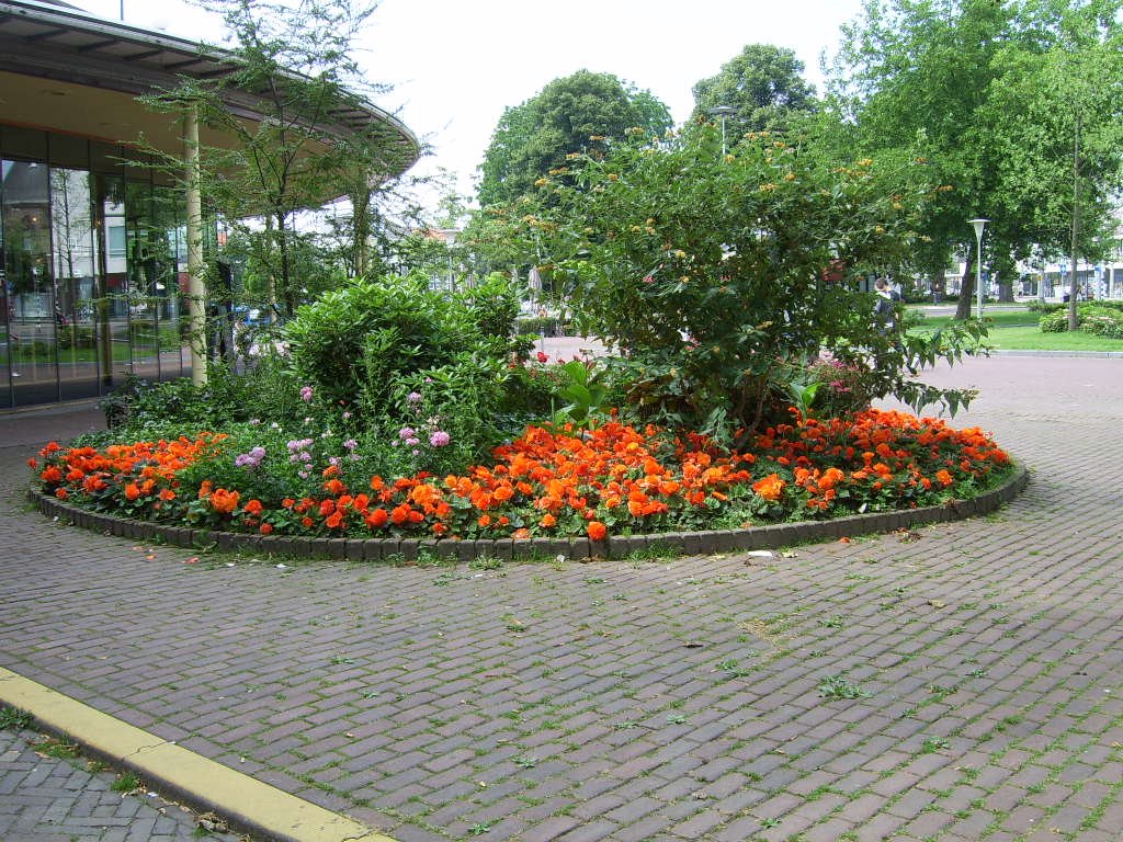 Arnhem c'est : des jolies fleurs partout by Adeline