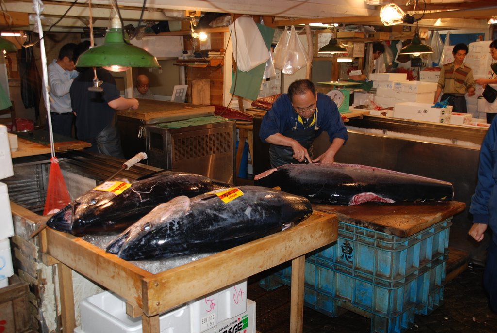 Tsukiji fish market by Jose Luis Blasco