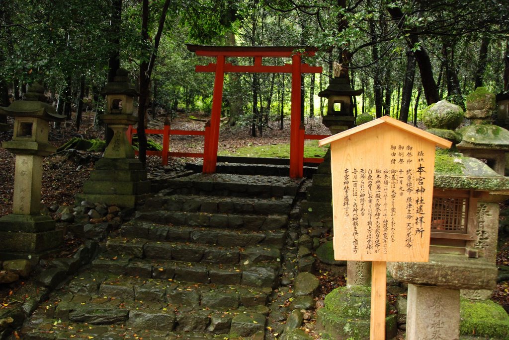 Kasuganocho, Nara, Nara Prefecture 630-8212, Japan by jetsun