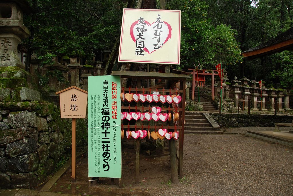 Kasuganocho, Nara, Nara Prefecture 630-8212, Japan by jetsun