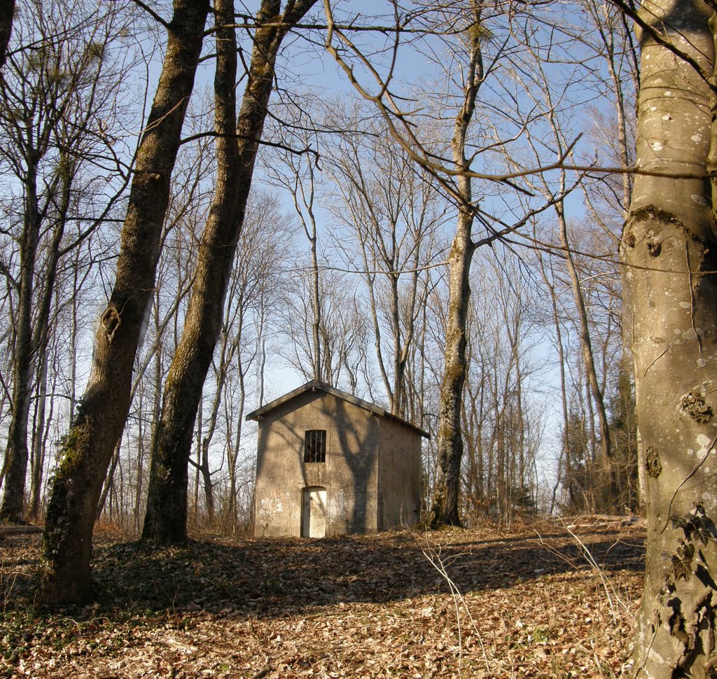 Maisonnette dans les bois des hauteurs de Charmes by pavillon.bayon